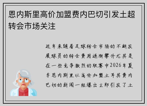 恩内斯里高价加盟费内巴切引发土超转会市场关注
